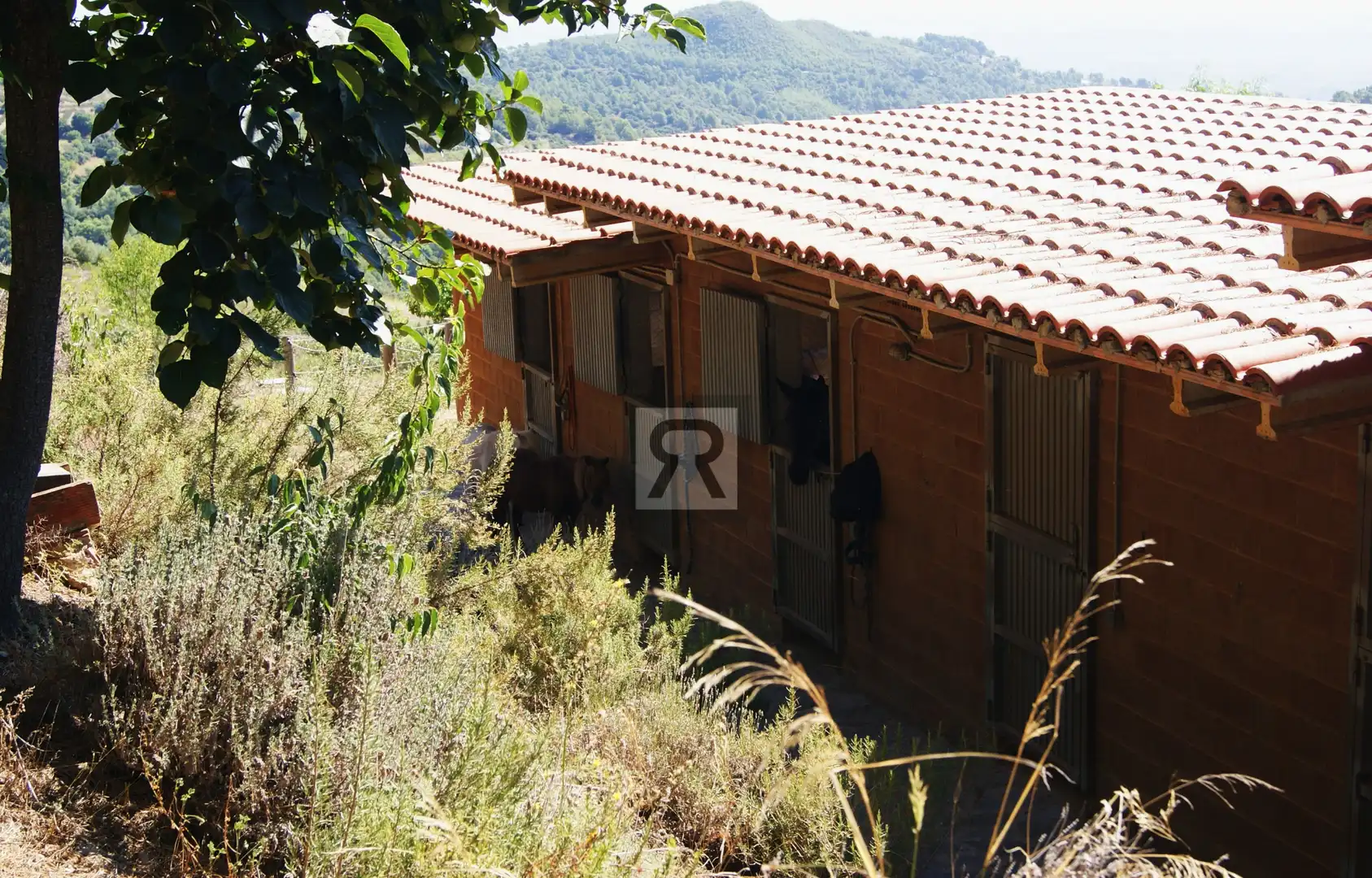 Vista exterior de Finca rústica en venta en L'Albiol con Calefacción, Jardín privado y Piscina