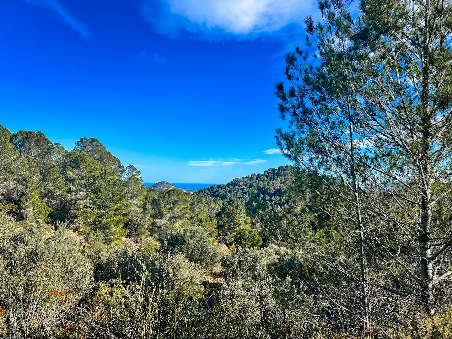 Terreno en venta en Polop