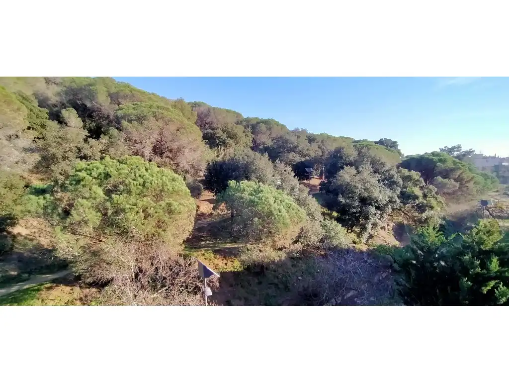 Flat for sale in Passatge Can Ribalaigua, El Molí - El Rieral