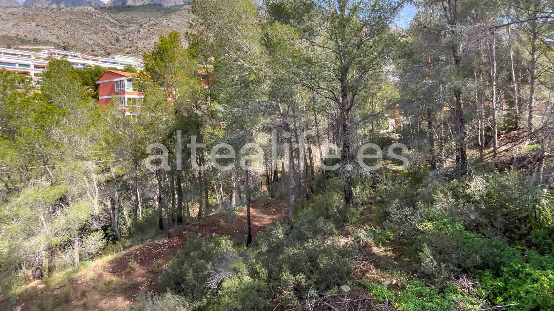 Terreny residencial en venda a Calle Erica, imagen 4