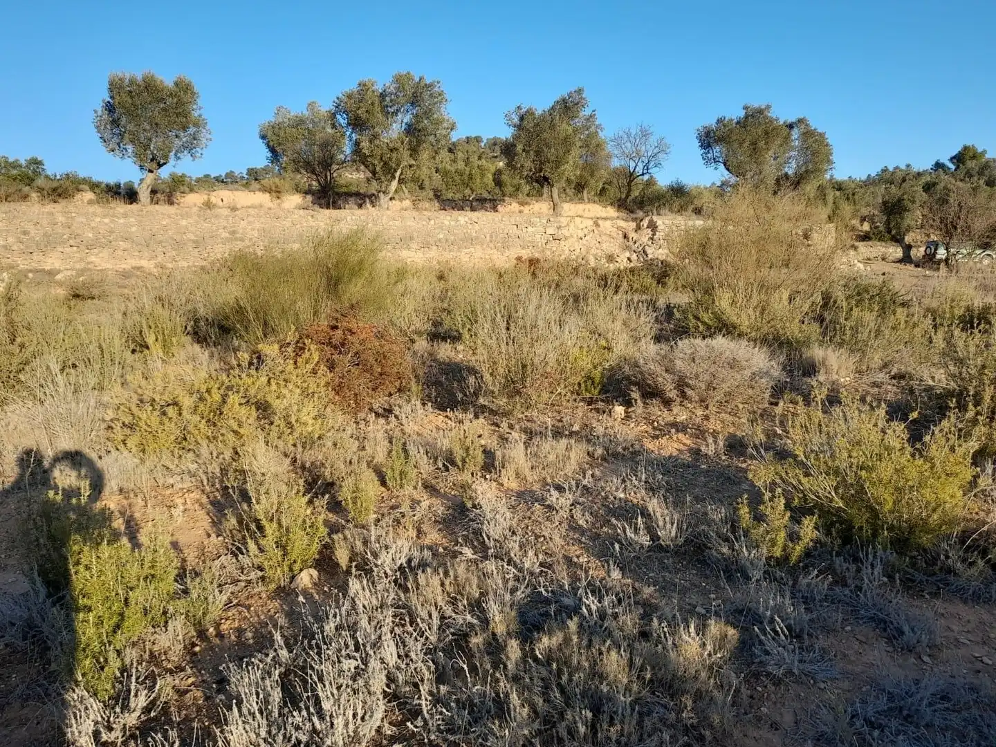 Terreno rústico en venta en Corbera d'Ebre, imagen 21
