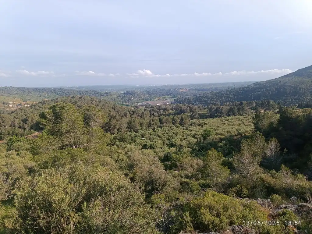Terreno rustico in vendita a Carrer Major 1, imagen 2