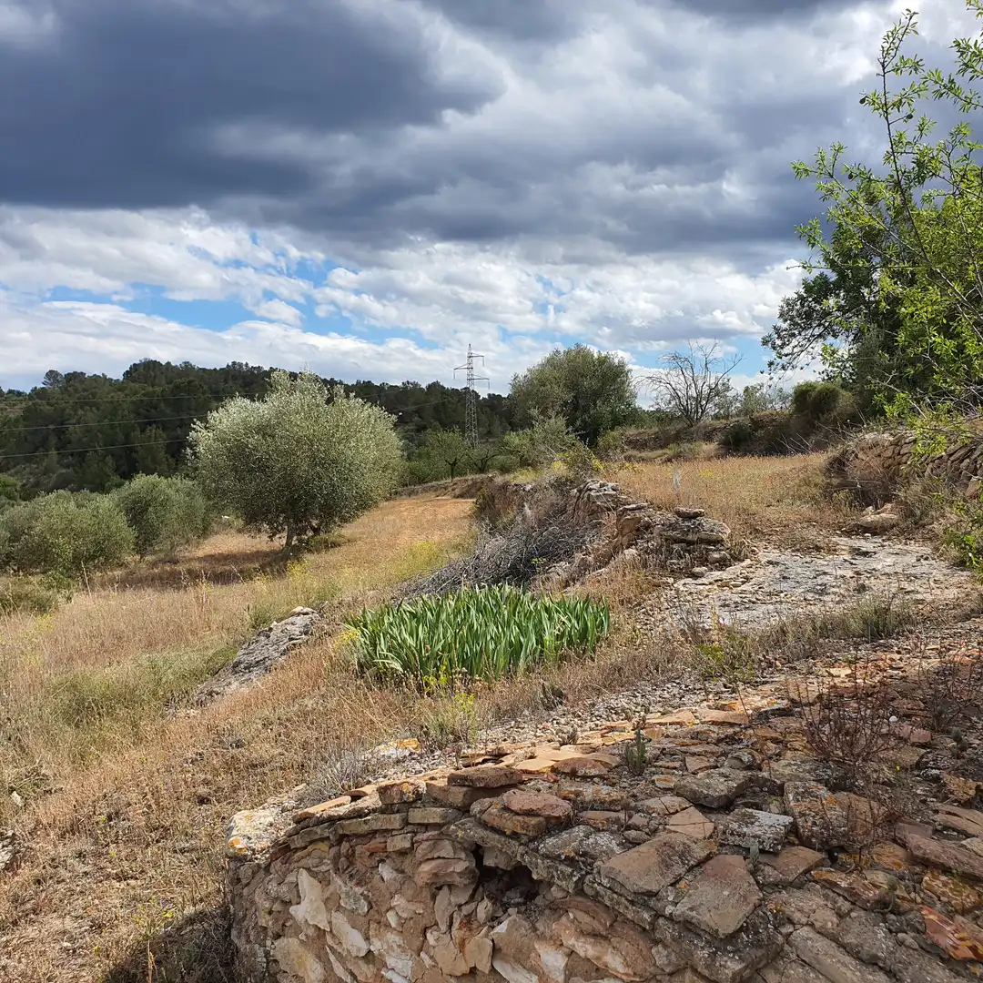 Rural land for sale in El Pinell de Brai, imagen 20