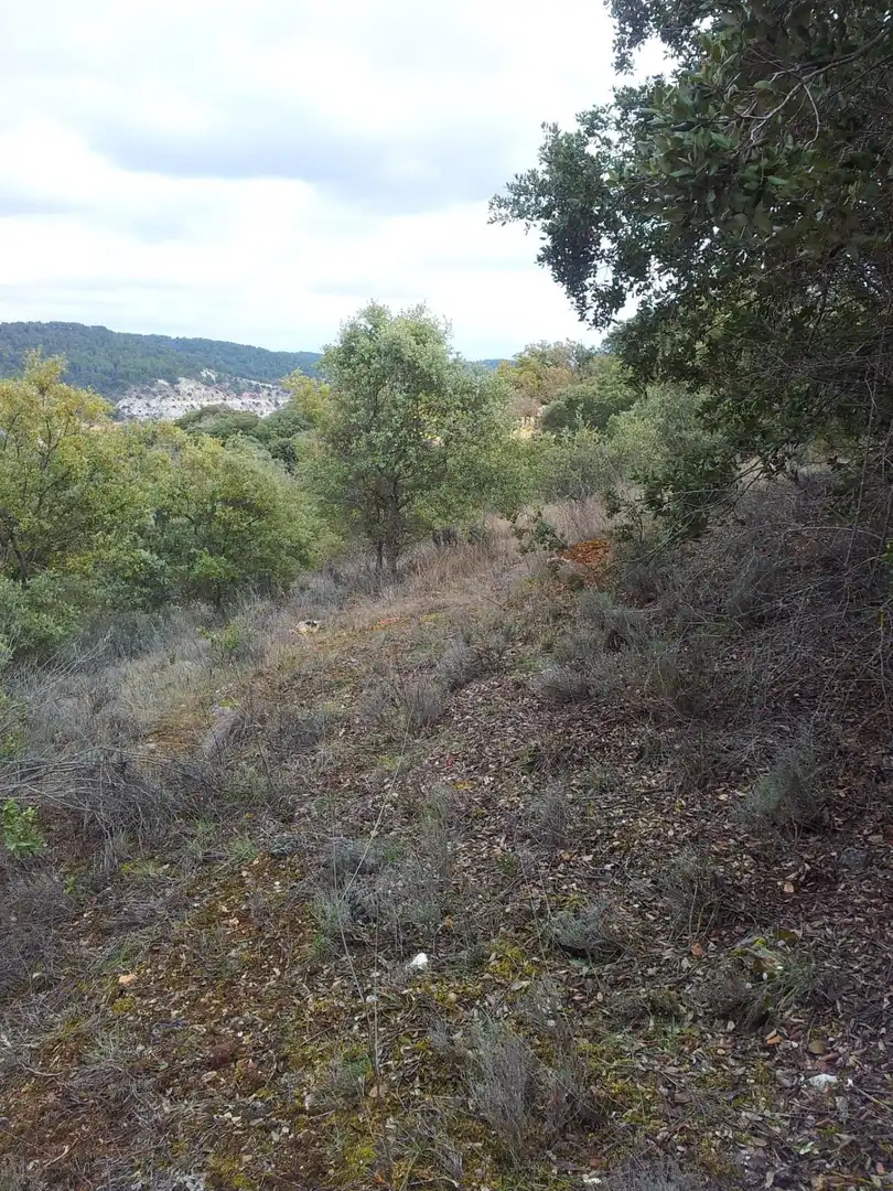 Terrenos y solares en venta en Hontoba, imagen 10