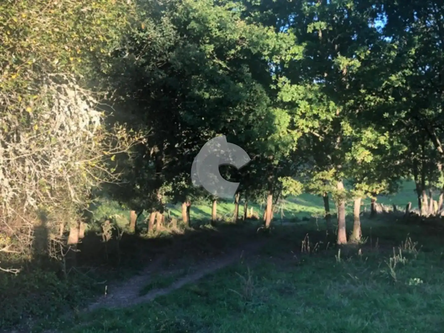Terreni e lotti in vendita a Nogueira de Ramuín, imagen 37
