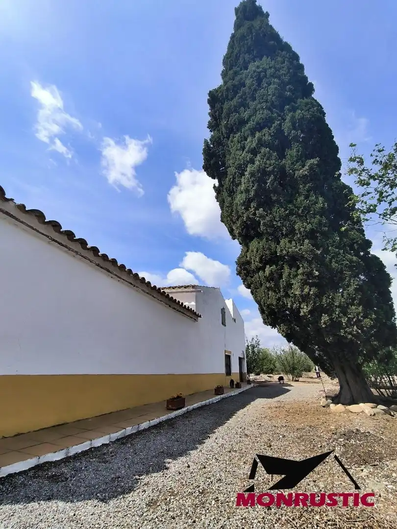 Maison rustique avec piscine à vendre à Valls, imagen 81