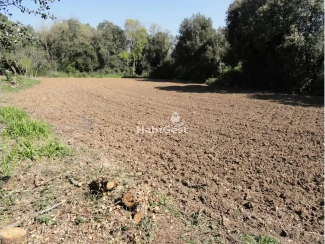 Residencial en venda en Sant Gregori
