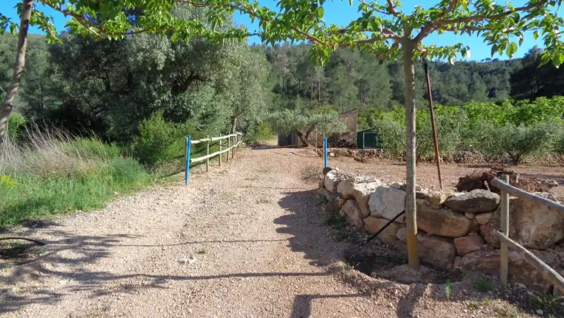 Terreno rustico in vendita a PESOLS, imagen 5