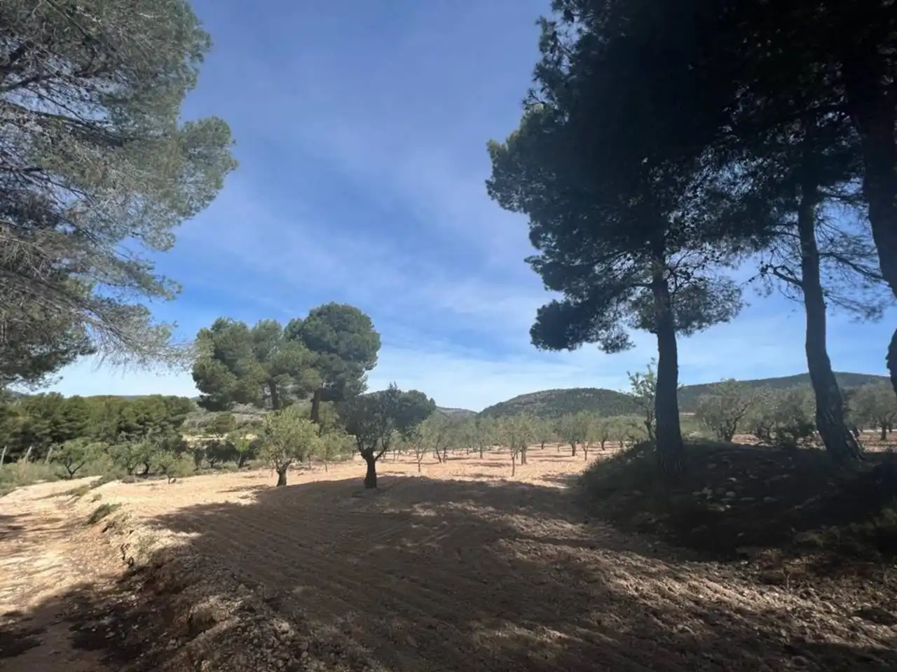 Chalet con jardín en venta en Calle Poligono, imagen 116