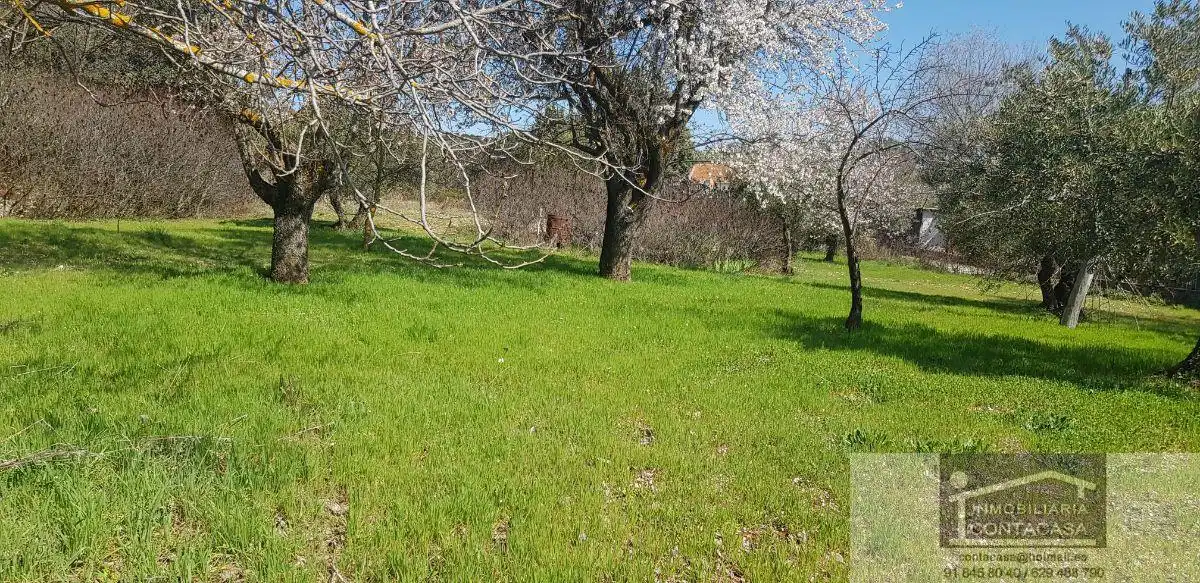 Finca rústica en venda en Loranca de Tajuña