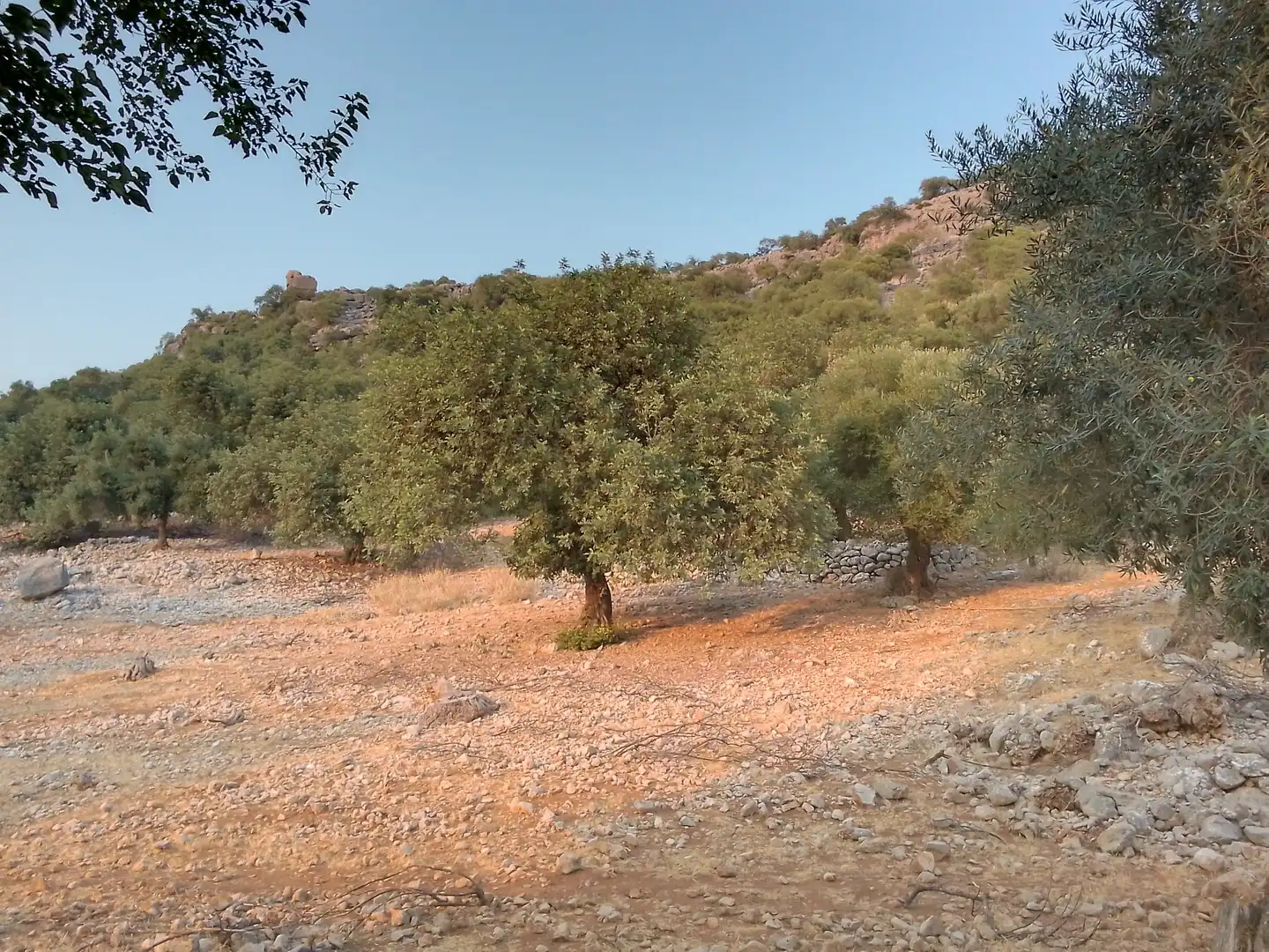 Terreni e lotti in vendita a Ubrique, imagen 17