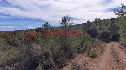 Foto 4 de Casa o xalet en venda a Puerto de San Vicente, Toledo