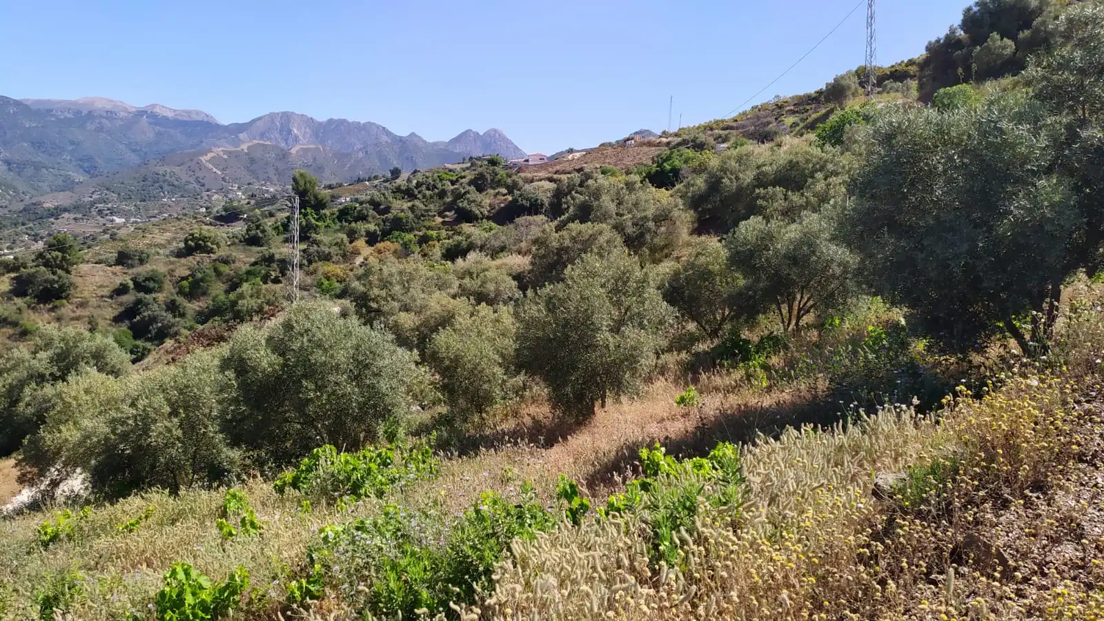 Country house zum Verkauf in Diseminado Pago Carrasco, 3051, Torrox Pueblo