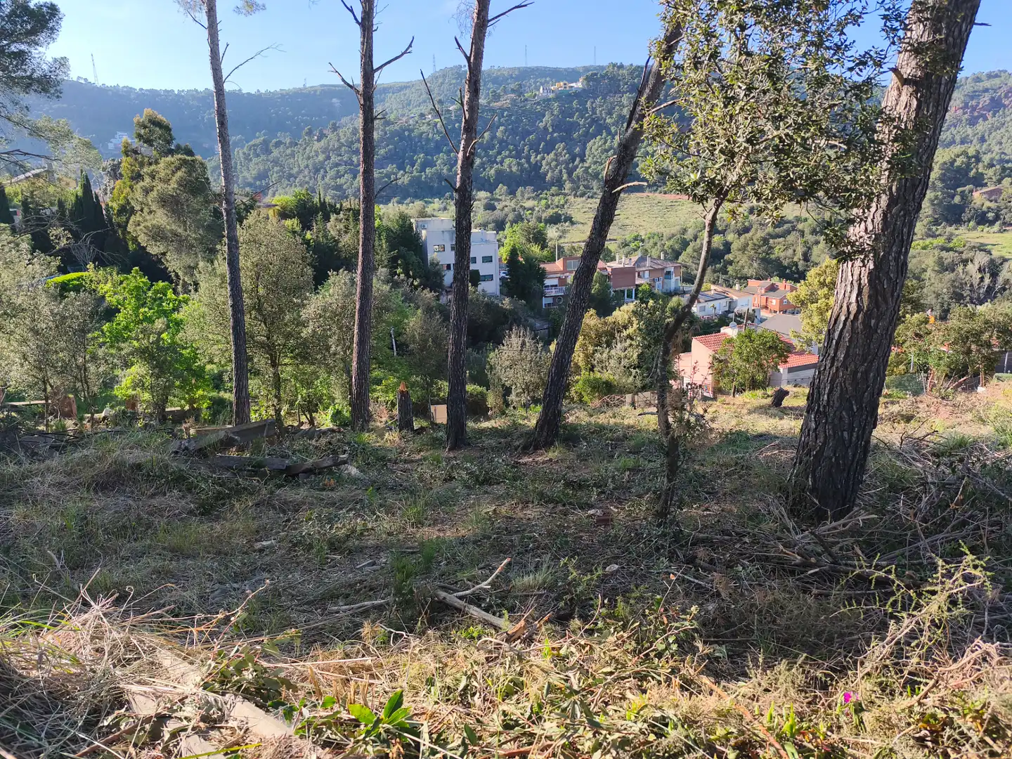 Terreno residencial en venta en Tercera Avinguda, imagen 3