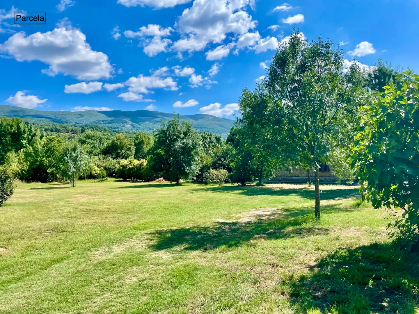 Xalet amb piscina en venda a Casas del Castañar