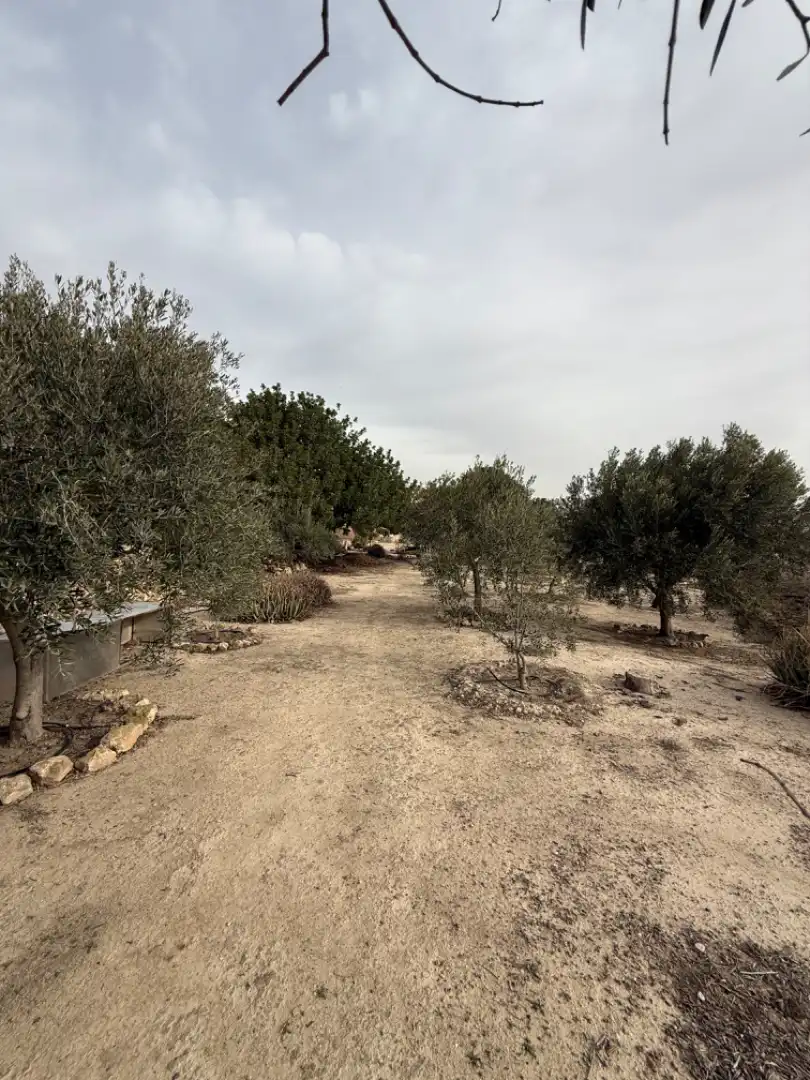 Villa à vendre à Campo de Murcia, imagen 7