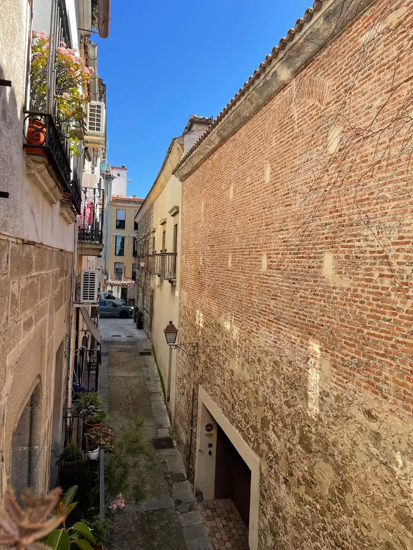 Exterior view of Buildings for sale in Plasencia