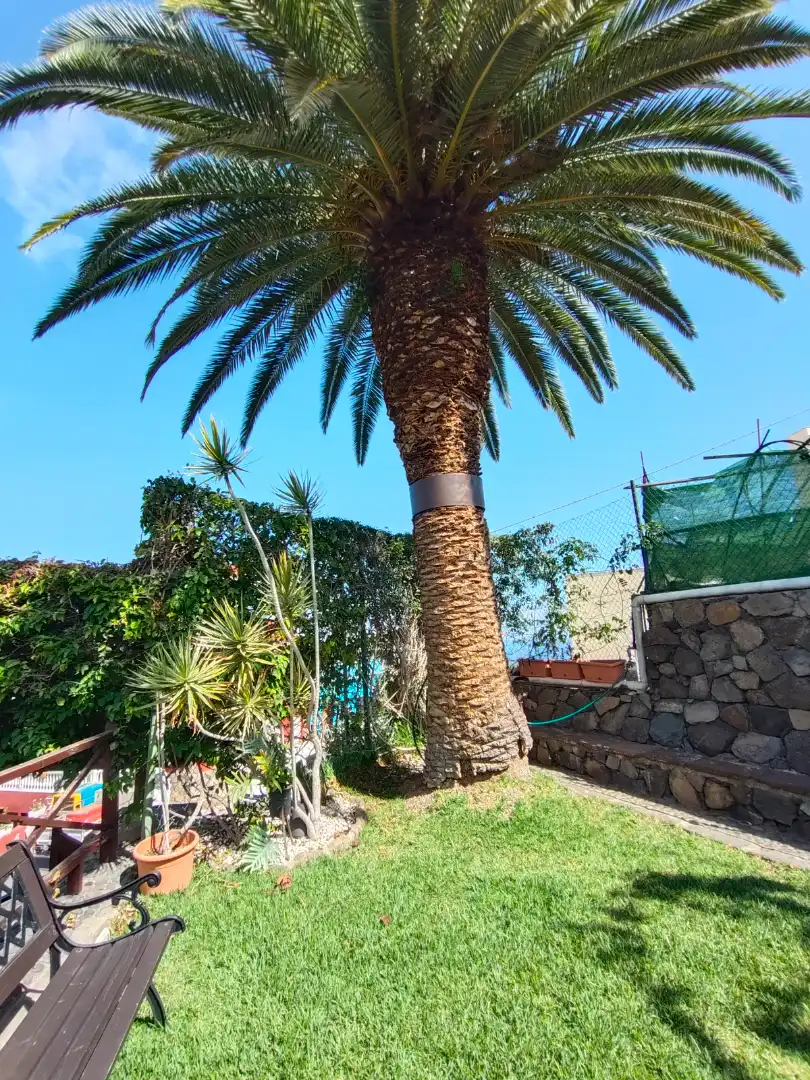 Vista exterior de Casa o xalet en venda en Icod de los Vinos amb Jardí privat, Terrassa i Traster