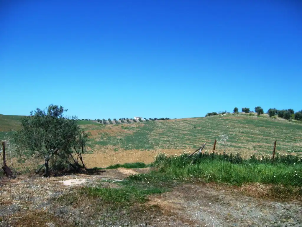 Rustikales Grundstück zum Verkauf in Álora, imagen 13