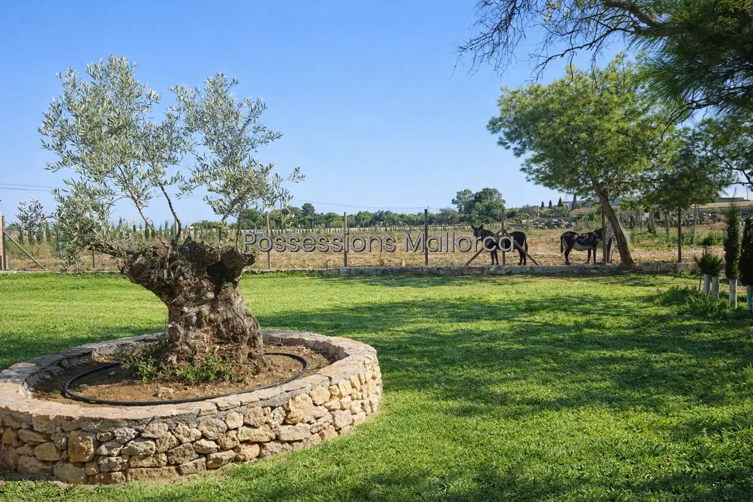 Casa rústica en venta en Llevant, imagen 9