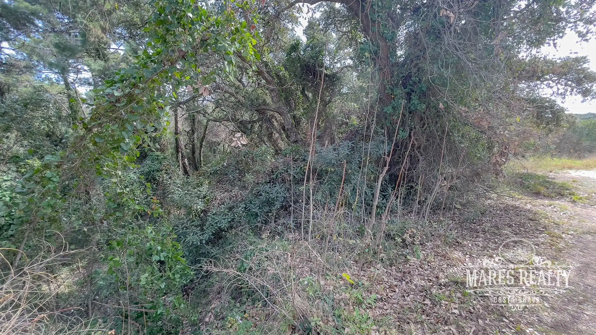 Terrenos y solares en venta en SÓCRATES, imagen 4