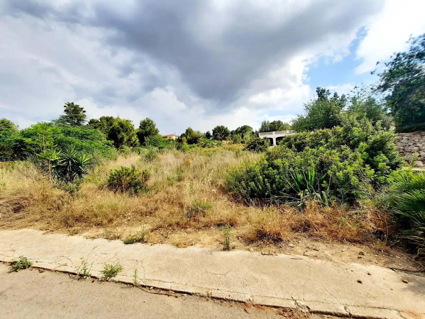 Terreny residencial en venda a Alberic, imagen 2