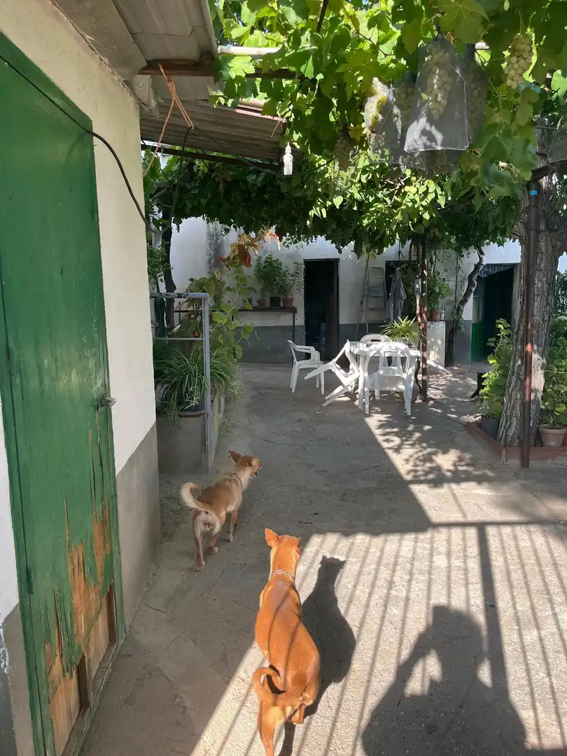Jardín de Casa o chalet en venta en Toledo con Jardín privado, Trastero y Amueblado
