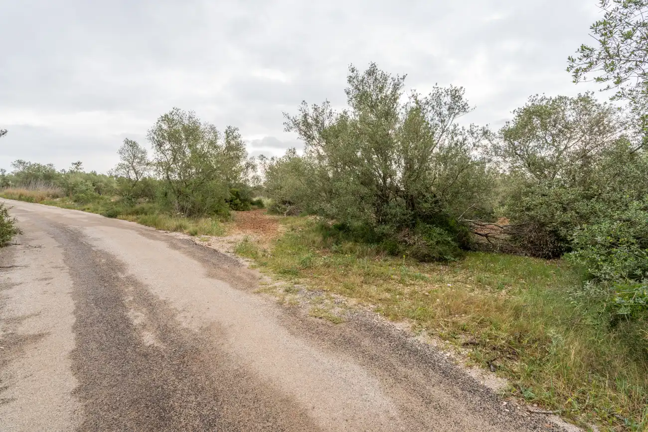 Terreno en venta en Mas de Barberans