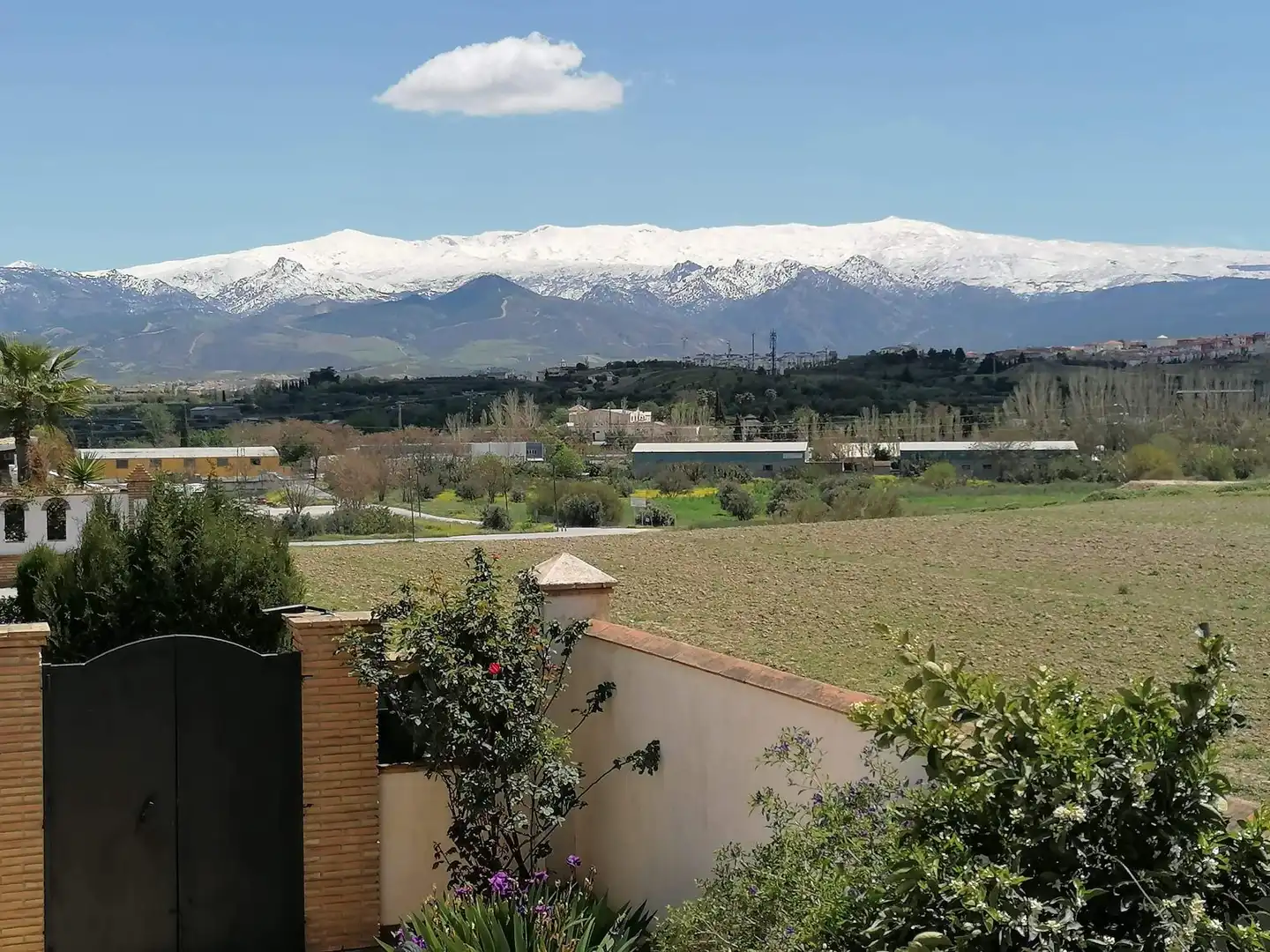 Jardín de Casa o chalet en venta en Alhendín con Calefacción, Jardín privado y Trastero