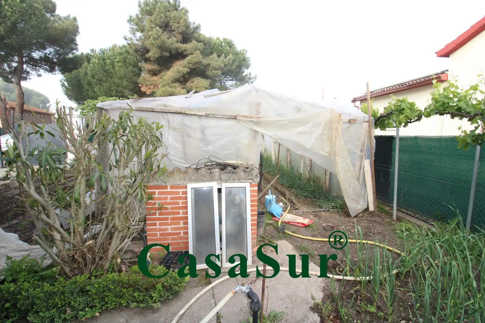 Jardín de Casa o chalet en venta en Traspinedo con Calefacción, Jardín privado y Terraza