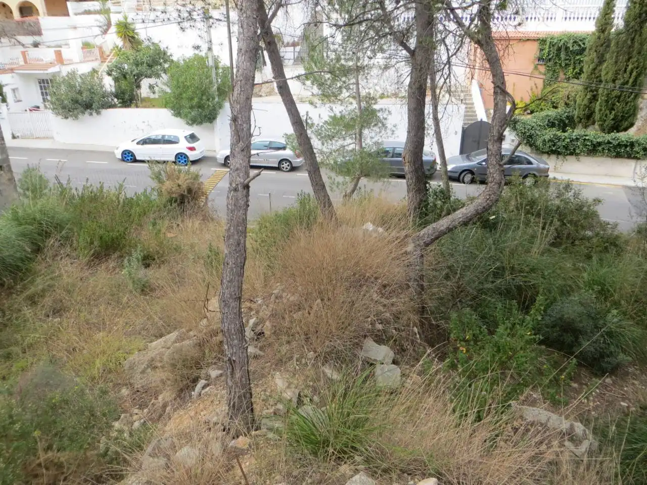 Terrain rustique à vendre à Calle goya 69, imagen 4