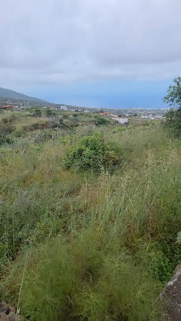 Rural land for sale in Camino Camino Morra del Estanque, imagen 5