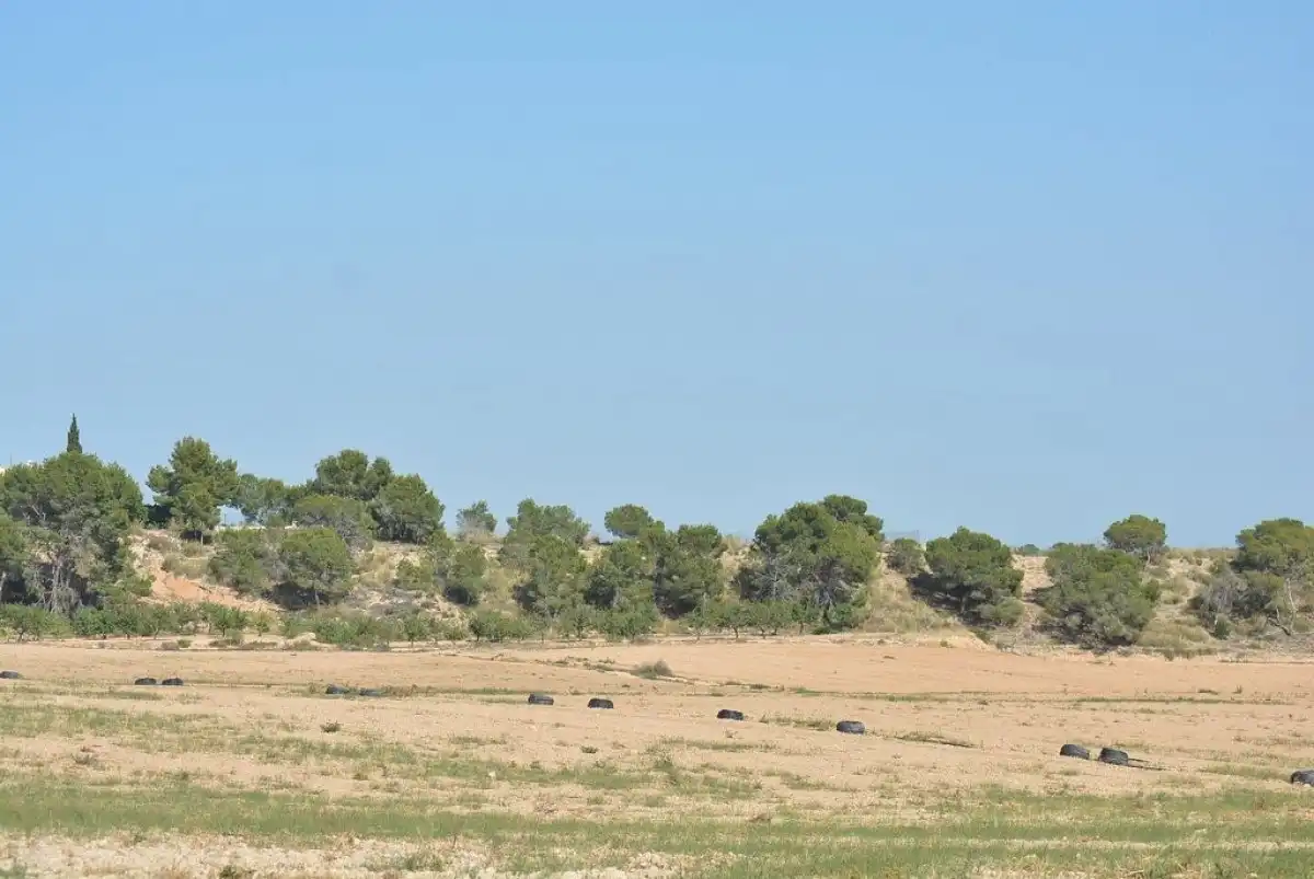 Terreni e lotti in vendita a Campo de Murcia, imagen 4