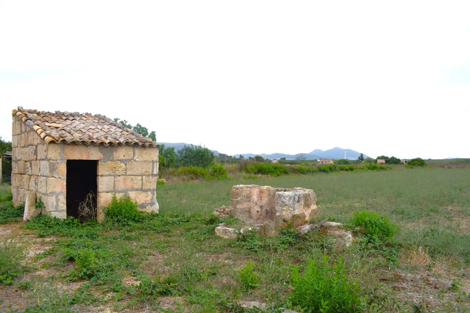 Terreny rústic en venda a Muro