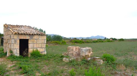 Finca rústica con caseta de herramientas en Muro