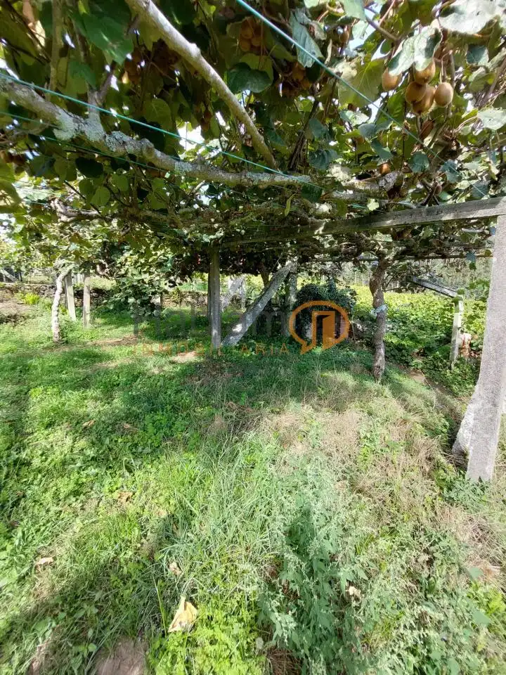House with terrace for sale in Vilanova de Arousa, imagen 61