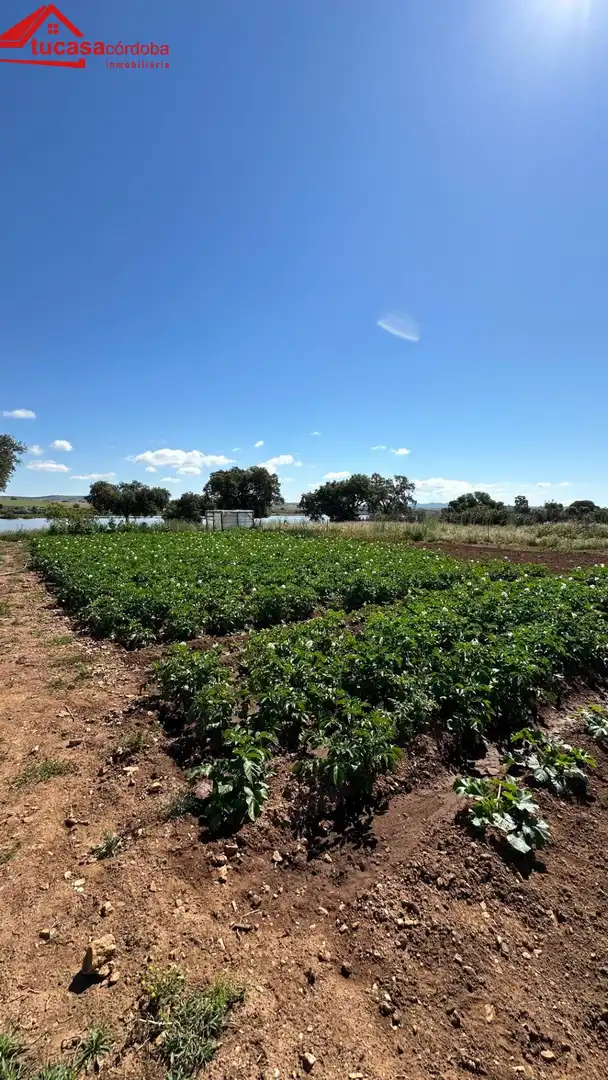 Casa rústica en venda a Peñarroya-Pueblonuevo, imagen 21