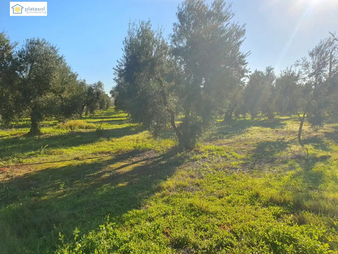 Finca rústica en venta en Chucena con Aire acondicionado, Calefacción y Jardín privado