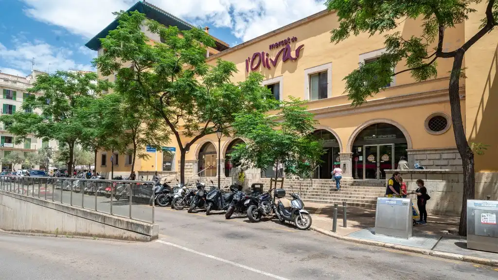 Wohnungen zum Verkauf in  Palma de Mallorca mit Terrasse