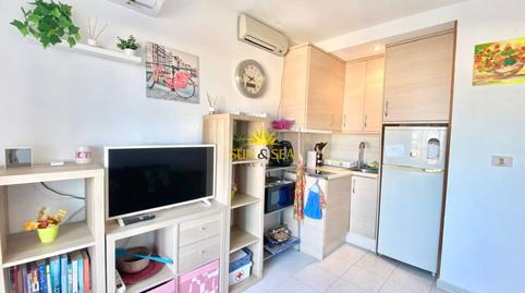 Foto 5 de Estudi de lloguer a Torreblanca, Torrevieja