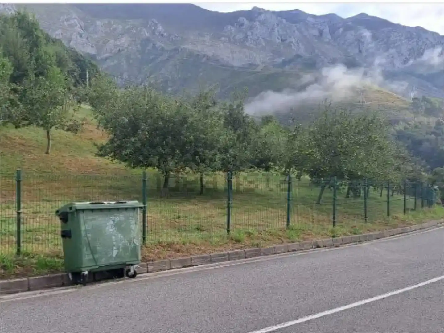 Vista exterior de Finca rústica en venda en Peñamellera Alta