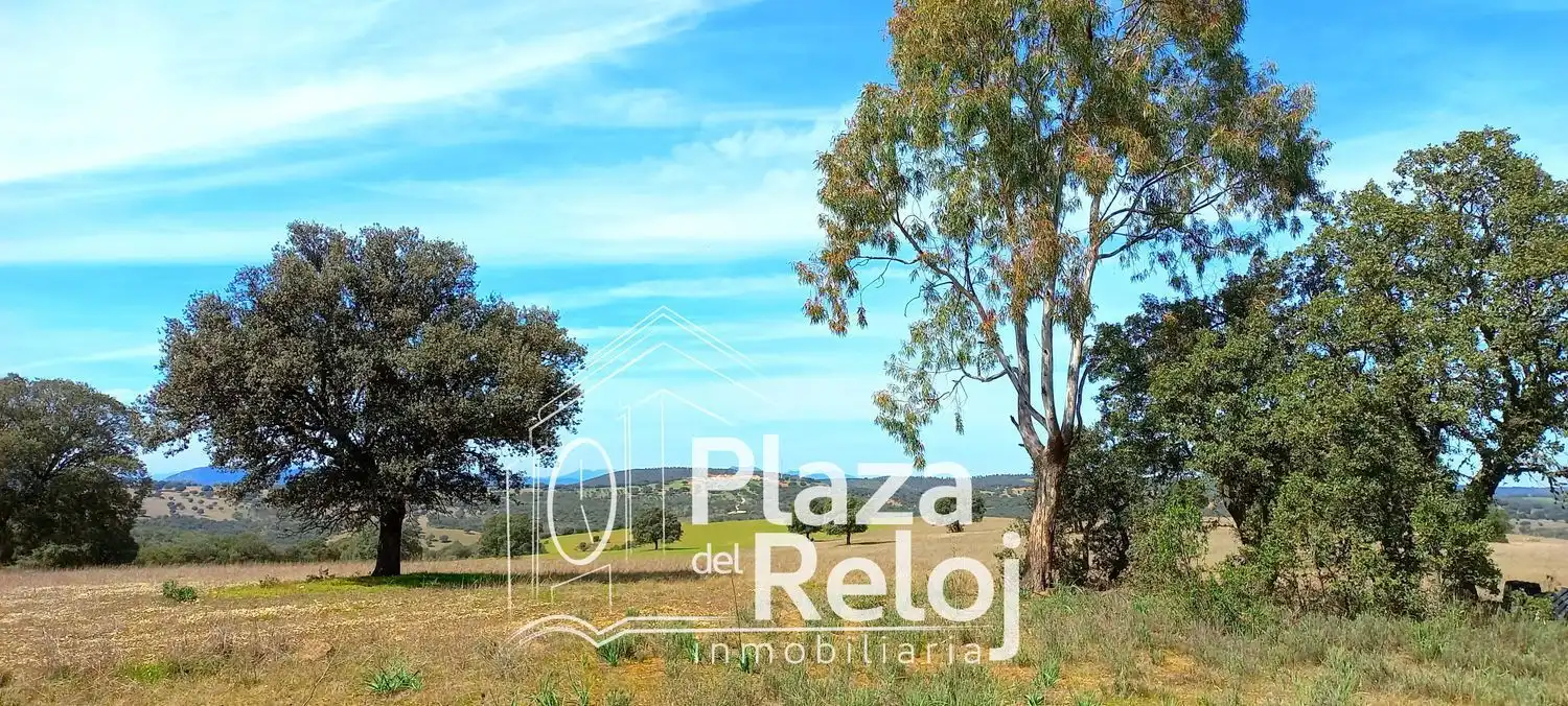 Terreno rustico in vendita a CERVANTES 0, imagen 25