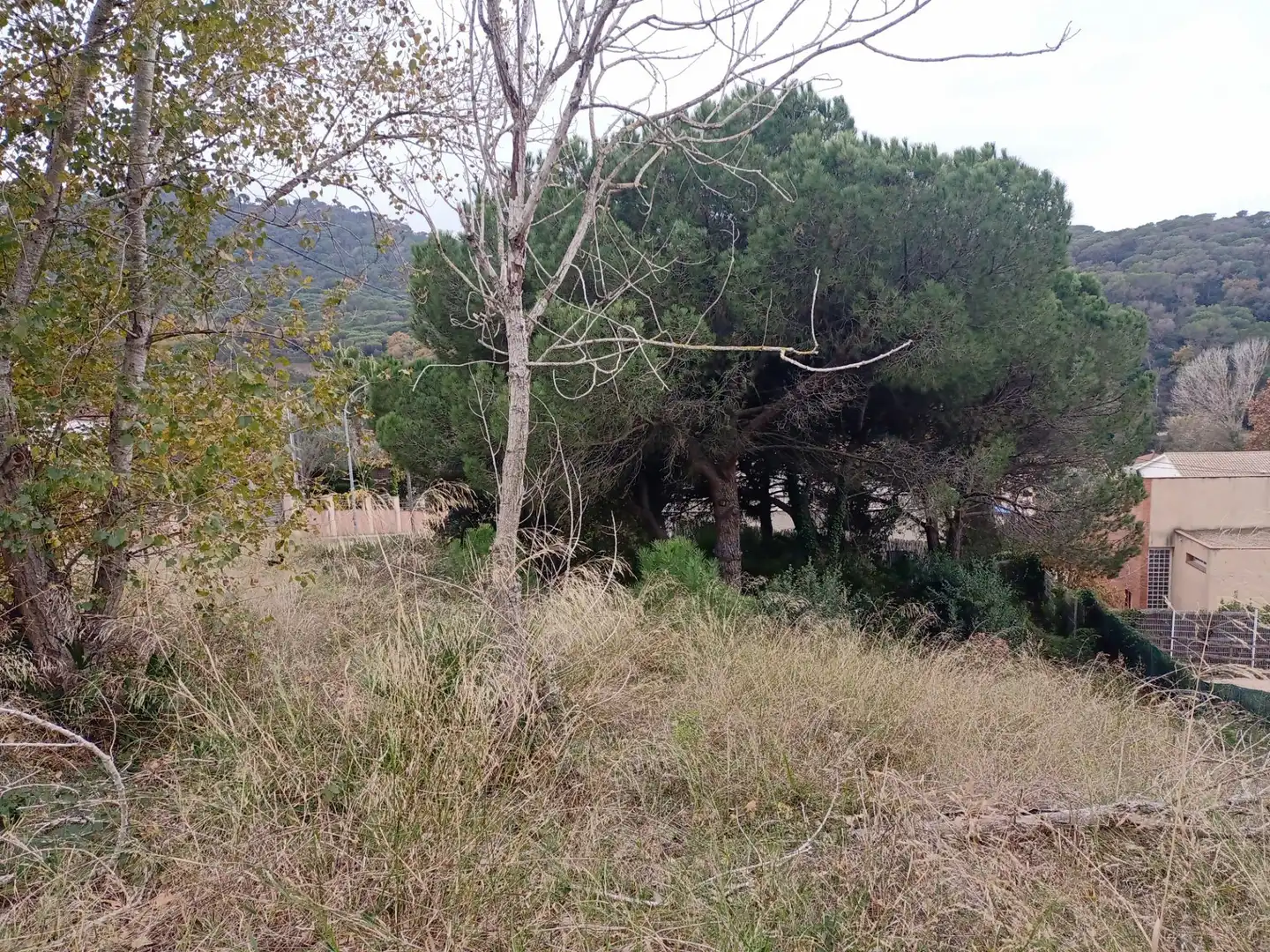 Terrenos y solares en venta en Carrer SALVIA, imagen 6