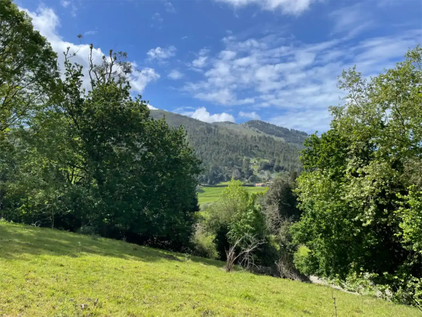 Residencial en venta en Medio Cudeyo