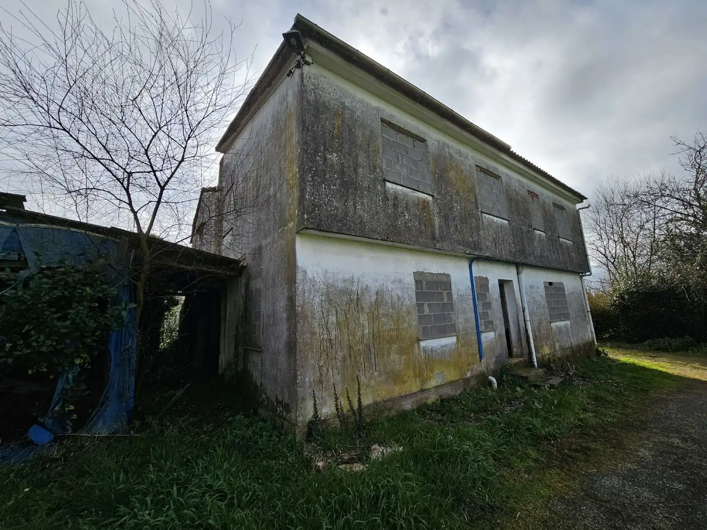 Vista exterior de Finca rústica en venta en Abegondo
