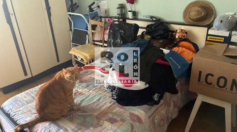 Foto 4 de Piso en venta en Avenida Alcalde Miguel Castaño, Casco Antiguo, León Capital