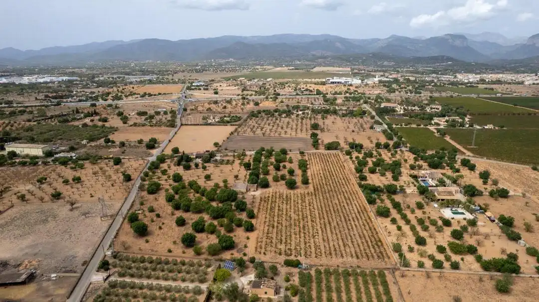 Land for sale in Consell
