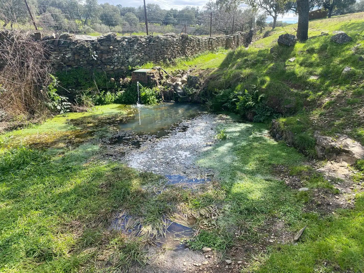 Terreny en venda en Mohedas de la Jara