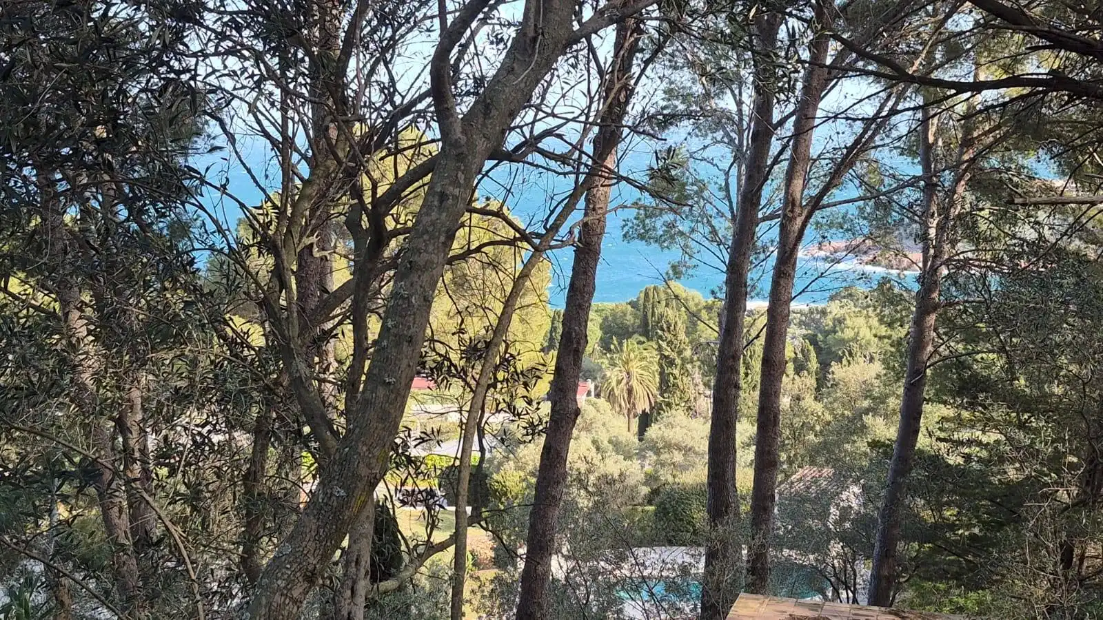 Jardí de Residencial en venda en Begur
