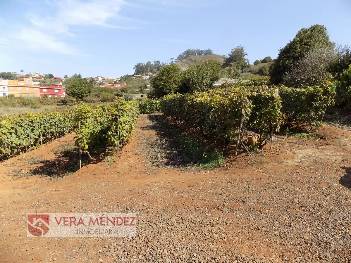 Country homes for sale in Tacoronte